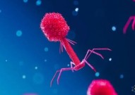 Nature：以彼之道，还施彼身！揭开病毒对抗细菌CRISPR免疫系统的全新方式