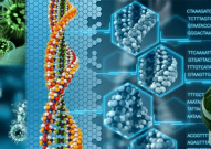 合成生物学行业研究报告