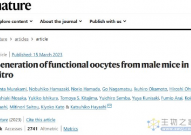 Nature：首次通过干细胞技术创造出了两只雄性小鼠的后代
