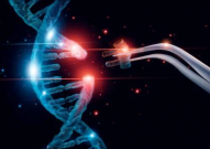 「明星疗法」陨落！全球首个基因编辑疗法暂停，创新药研发道阻且长