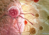 癌细胞喜欢“蛋白质”还是“糖”？研究结果公布，不妨早了解