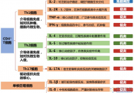 细胞因子：免疫细胞之间的“信使”，有哪些应用？