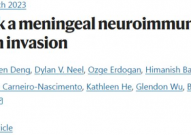 Nature：揭示细菌劫持脑膜中的神经元导致脑膜炎的机制