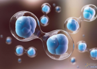 迄今「最先进人类胚胎模型」，科学家利用干细胞重编程构建合成人类胚胎，现阶段仍面临伦理挑战
