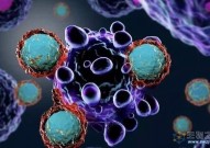 Nature提出一种新的癌症免疫防御机制：让免疫系统找到“看不见”的癌细胞