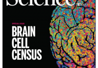 Science里程碑！顶刊系列连发21篇论文报告迄今最全人脑细胞图谱发布，揭示是什么让我们成为人类？