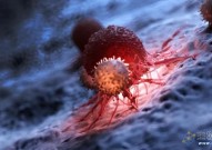 Nature突破性进展：首次发现铁死亡和相分离之间的联系，让癌细胞对铁死亡敏感
