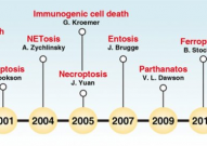 Nature子刊：发现新的细胞死亡机制，可为癌症治疗提供新策略