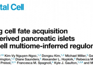 Dev Cell：朱晗/王高伟等揭示人类多能干细胞定向发育为胰岛B细胞过程中的基因调控机制