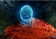 PNAS：“组合拳”方法可使T细胞扩增至少10倍，有望提高CAR-T细胞治疗实体瘤的疗效