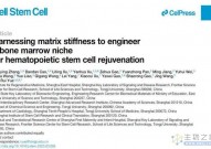 Cell Stem Cell：同济大学岳锐团队实现衰老造血干细胞的年轻化