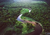 亚马逊河的生物到底有多可怕？为什么人们不敢在亚马逊河中游泳？