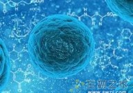 北大邓宏魁研究组最新成果 新的人体细胞化学重编程体系已建立