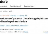 《自然》破解辐射损伤遗传之谜！父系遗传DNA给第三代出现极高死亡率