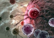 Nature重磅：重启癌细胞的凋亡过程，为抗癌药物设计提供全新策略