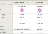 细胞与基因治疗研究核心之病毒基因导入平台，你了解多少？