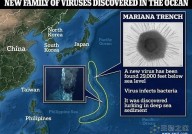 中国研究人员发现潜伏在世界最深海沟底部的新病毒