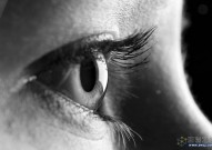 干细胞疗法新突破！哈佛大学医学院：干细胞疗法为恢复眼部视力提供新证据，I期试验成果喜人！