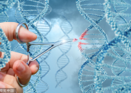 新“基因魔剪”按需敲入长DNA序列，或可治疗多突变疾病