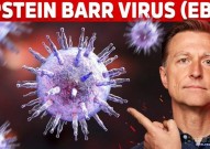 这种EBV病毒90%的人都有感染，不仅诱导染色体断裂，还引发多发性硬化症