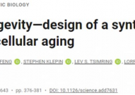 Science：成功利用合成的基因振荡器显著延缓细胞衰老