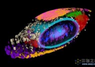 《自然》科学家解开人类细胞真实面貌的秘密