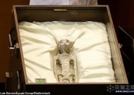 公开了！墨西哥首次展示“外星人”尸体，具有未知DNA，已有1000年历史？