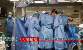 69次基因编辑改造猪肾器官，全球首例人类活体移植猪肾成功！