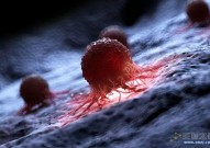 只杀癌细胞，不伤免疫细胞，华人团队发现特异性调控癌细胞铁死亡的诱导剂
