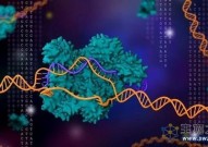 Cell：重大进展！我国科学家基于人工智能的蛋白结构聚类分析，发现一系列新的碱基编辑器