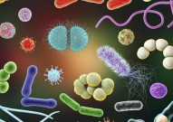 什么是微生物的群体感应作用？其作用机制是什么？