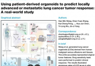 类器官立大功！我国科学家全球最大样本量研究，证实肺癌类器官临床疗效