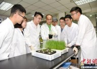 科学家创制广谱抗病基因 绿色稳产防控“水稻癌症”