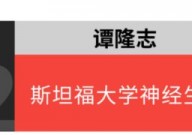 破解人类「基因组三维结构」百年科学难题，斯坦福学者开发生物医学新工具，助力精准医疗