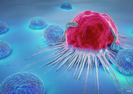 加州大学揭示T细胞拥有自我激活的“自驱力”，或为肿瘤治疗开辟新途径！