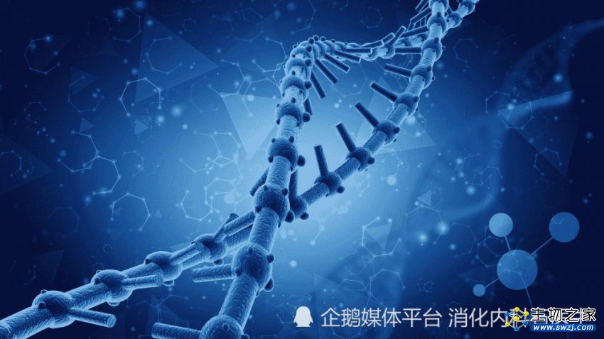 六个月清零癌细胞！全球首例白血病被治愈，基因编辑“立大功”