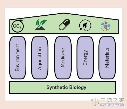 AI 与合成生物学「联姻」的五大挑战：技术、数据、算法、评估与社会学