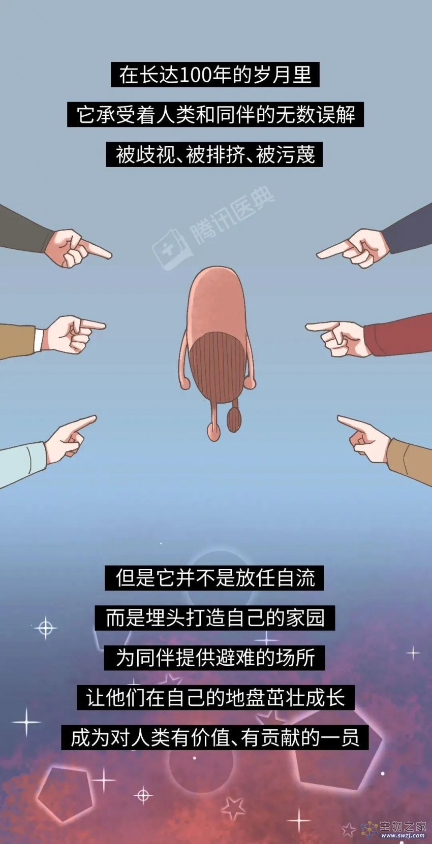 科普：阑尾一辈子被骂没用，却为你做了两件了不起的事！