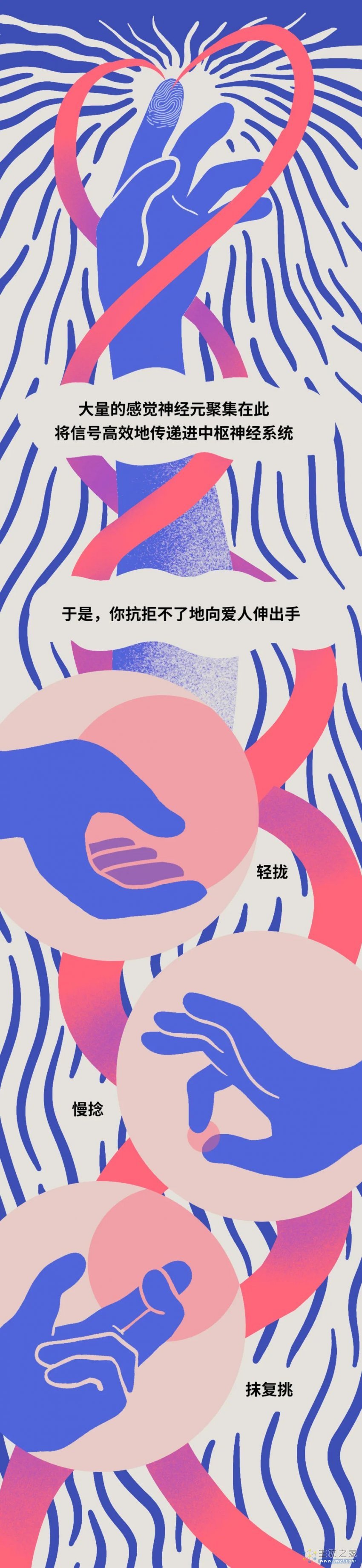 情人节专辑：爱抚的时候，男女双方身体在发生什么反应？