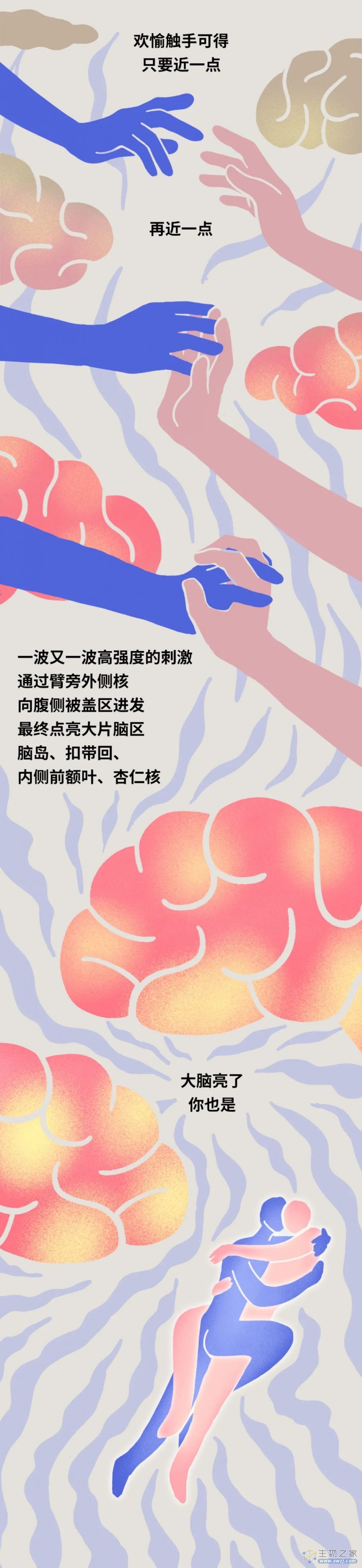 情人节专辑：爱抚的时候，男女双方身体在发生什么反应？