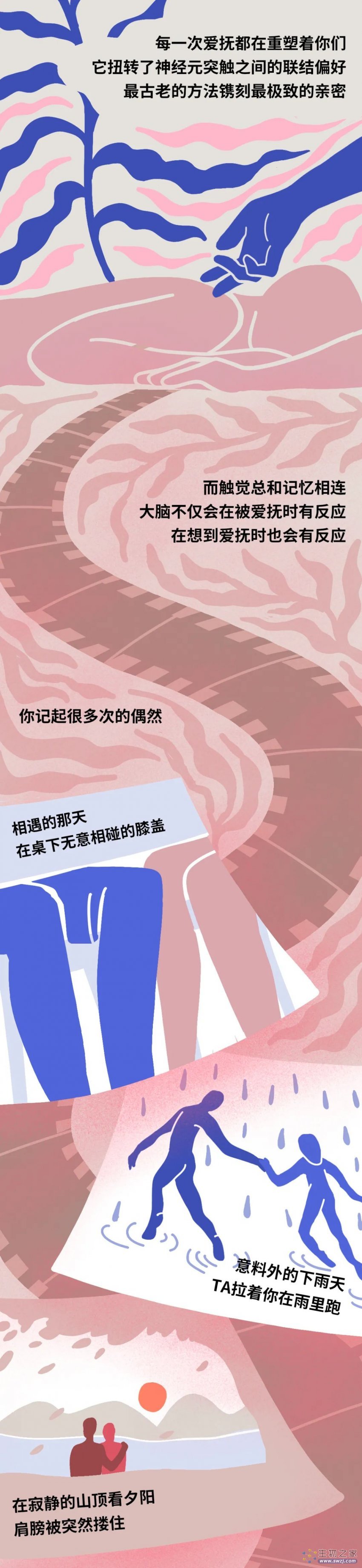 情人节专辑：爱抚的时候，男女双方身体在发生什么反应？